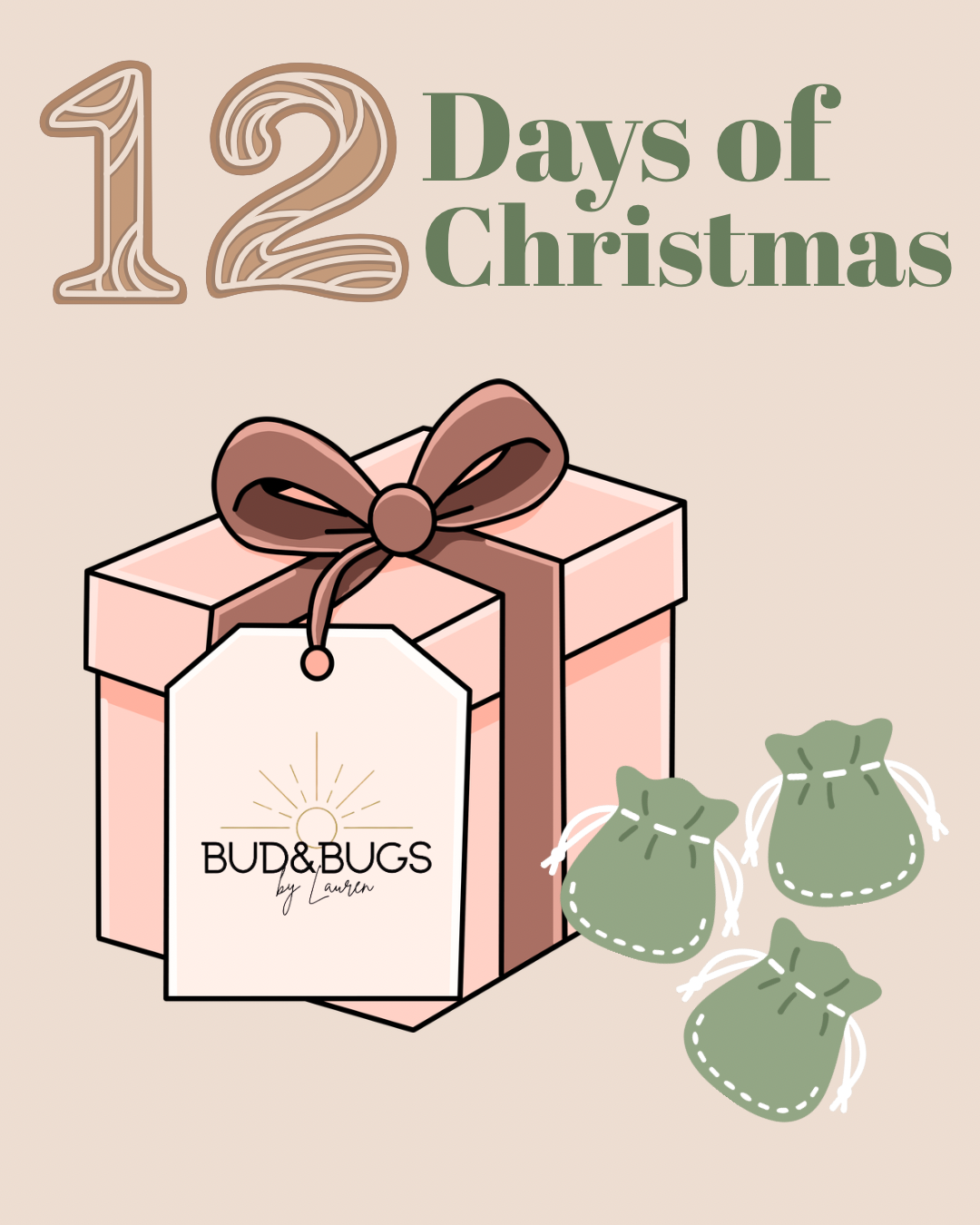 12 Days of Christmas Mystery Box