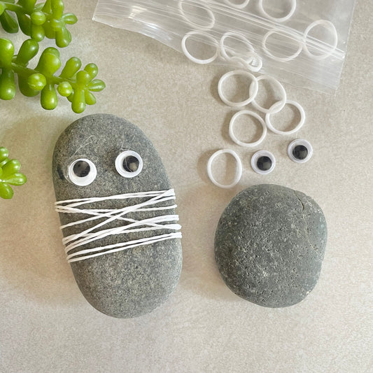 Pet Rock Mummy Kit