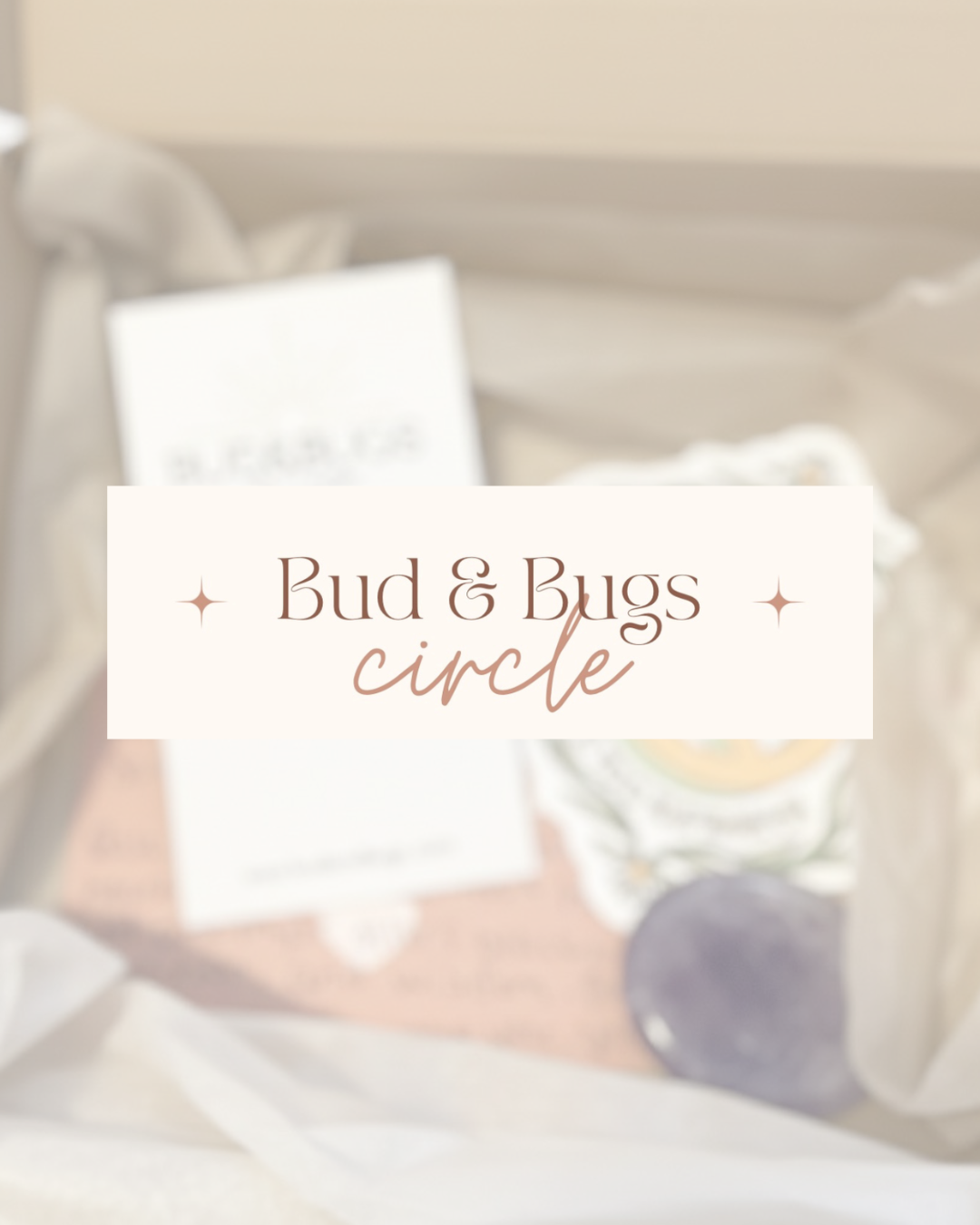 Bud & Bugs Circle Box