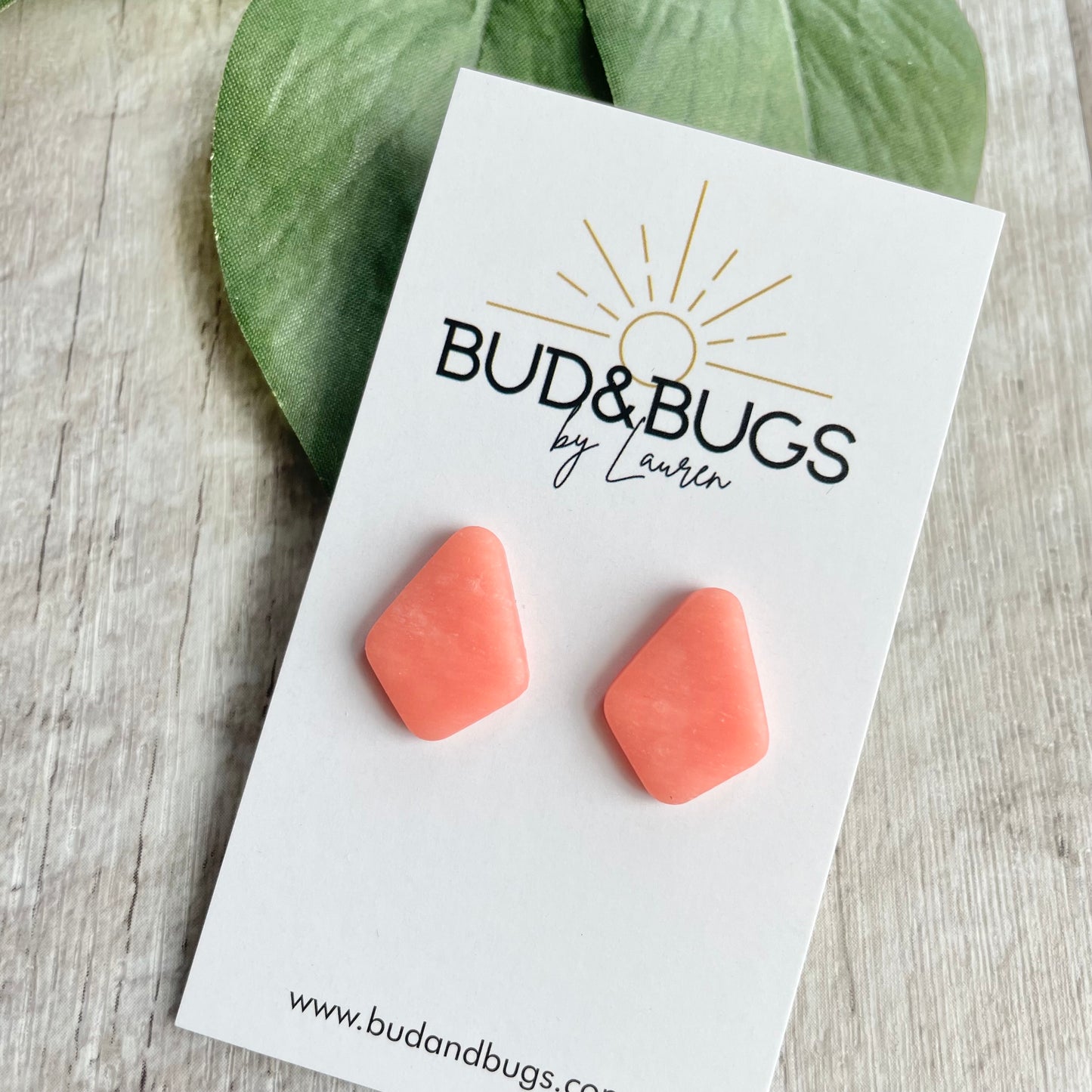 Translucent Stud Earrings